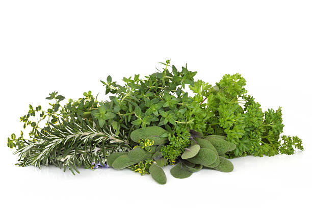 istock Parsley Sage Rosemary and Thyme Herbs 119744116