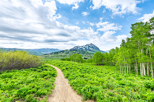 Mount Crested Butte, Colorado town cityscape in background in summer with green grass and footpath trail road wide angle view