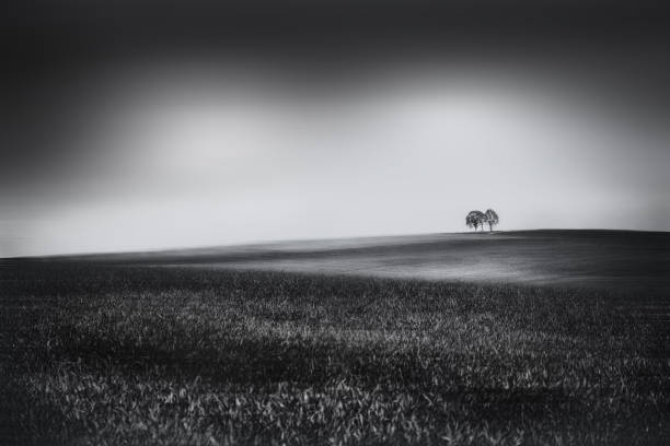 istock Landscape with crucifix between two trees on the horizon in black and white. 1197443369