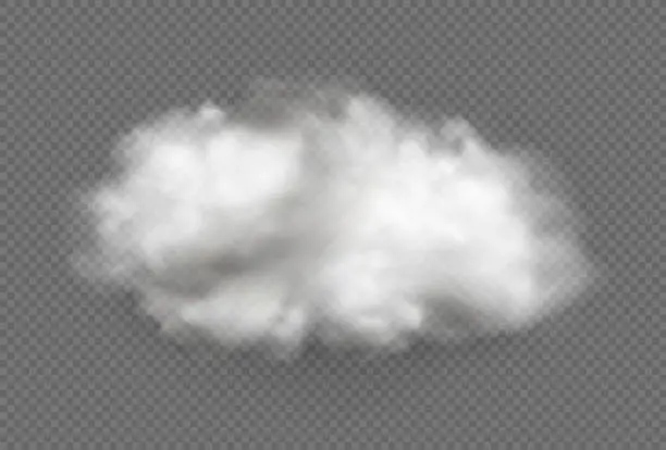 Vector illustration of Cloud of fog, smoke, urban smog. Realistic isolated cloud on transparent background.