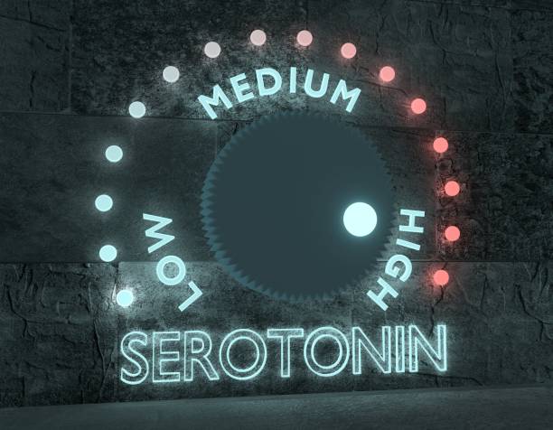hormon serotonin-spiegel. - blitzbeleuchtung grafiken stock-fotos und bilder