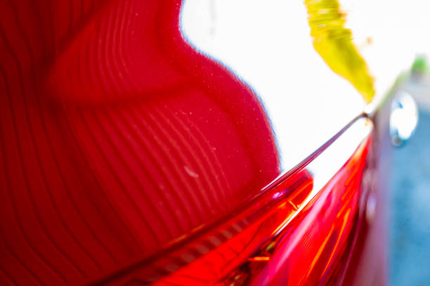 Colorful feathers