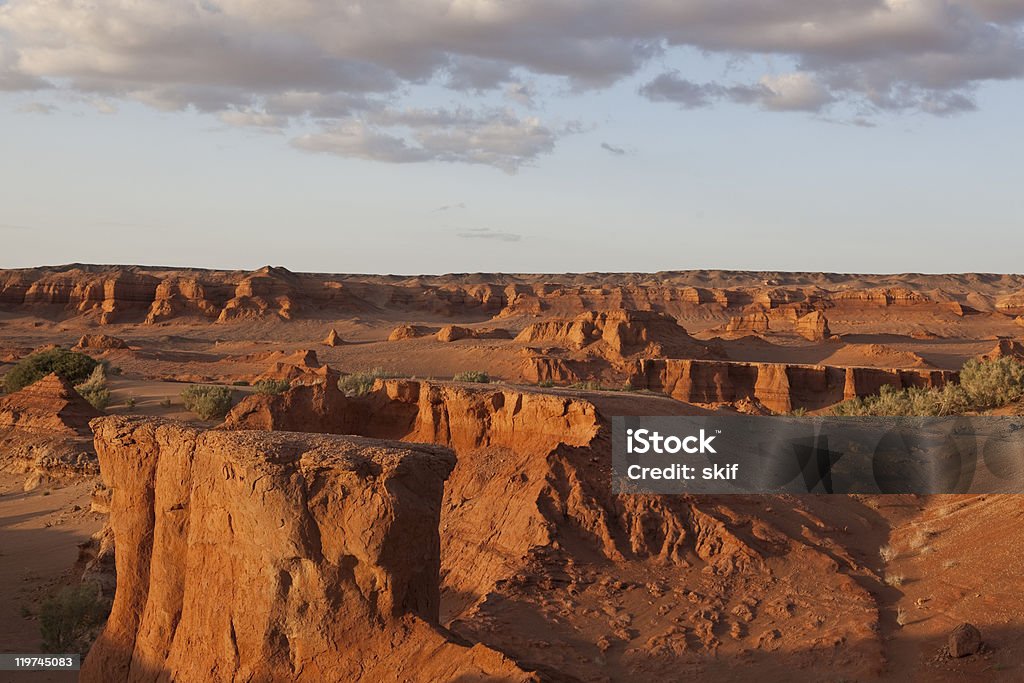 Noite em canyons - Foto de stock de Arbusto royalty-free