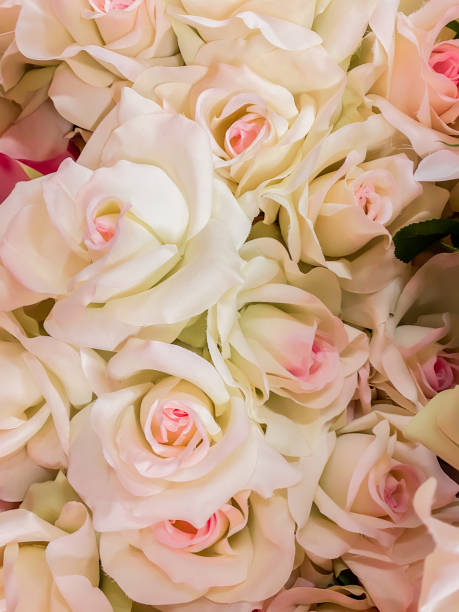 istock Artificial romantic pink rose  backgrounds for wedding ceremony and graphic source. 1197455735