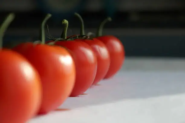5 red tomatoes in row on white surface. Selective focus.