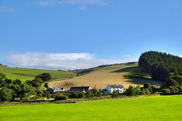 istock Rural Scene in the Yorkshire Dales 119746451