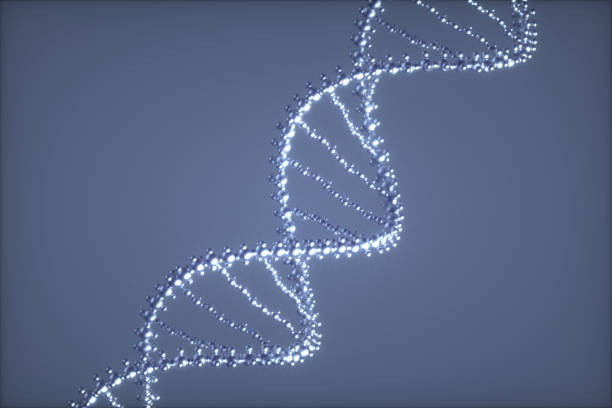 dna 3d 생물 의학 일러스트 - sugar phosphate backbone 뉴스 사진 이미지