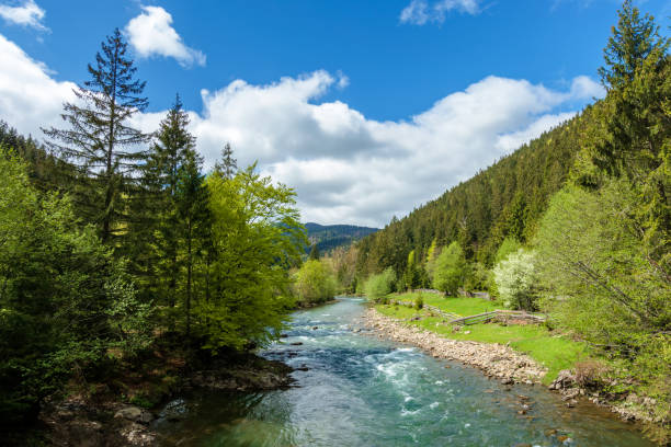 river in mountains. wonderful springtime scenery of carpathian countryside. blue green water among forest and rocky shore. wooden fence on the river bank. sunny day with clouds on the sky