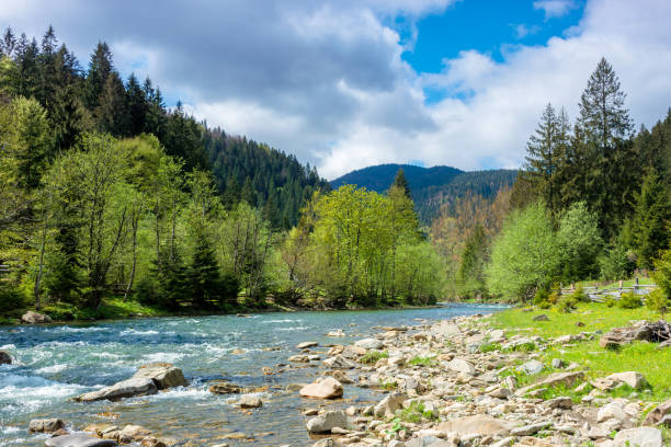 istock river in mountains. wonderful springtime scenery 1197466228