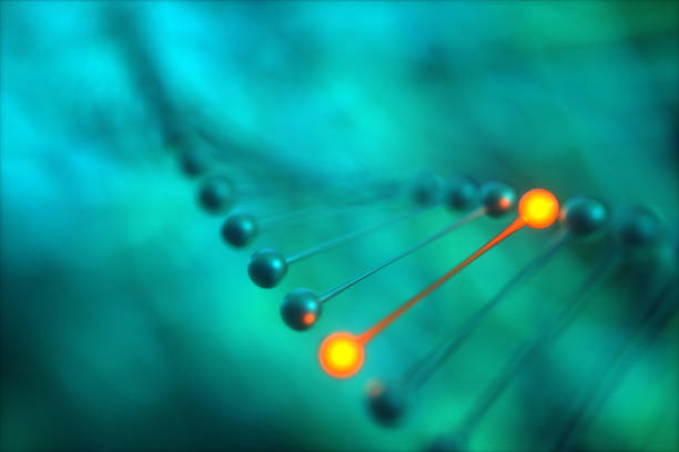 dna close-up 3D