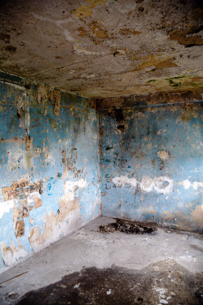 istock Room of destroyed and abandoned building 1197466735