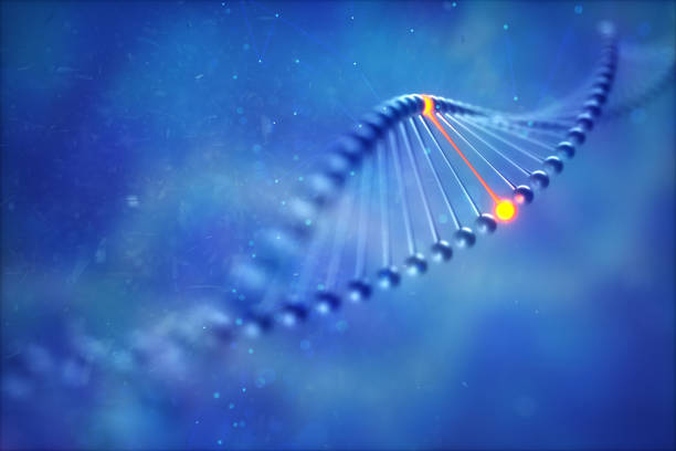 dna close-up 3D