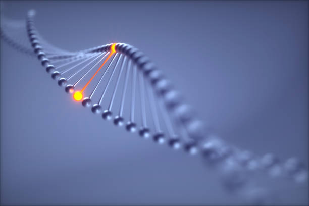 istock Gene editing medical illustrations 1197466872