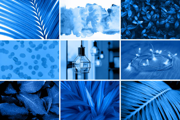 istock Creative collage tinted in blue color. 1197468706