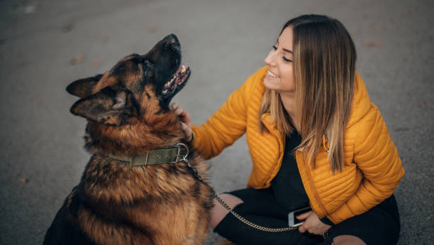 istock Young woman and german shepher in the park having fun 1197469792