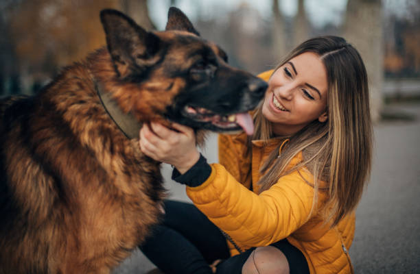 istock Young woman and german shepher having fun in the public park 1197469947
