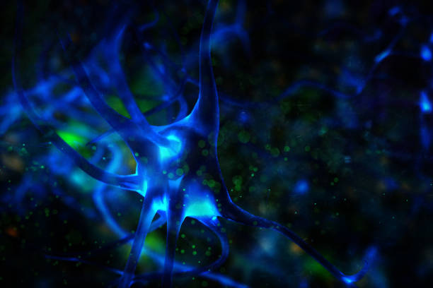 istock Nerve Cell 3D BCI idea Biomedical Illustration 1197470287