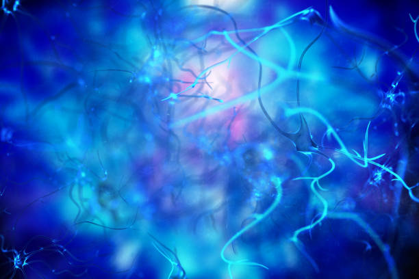 istock Nerve Cell 3D BCI idea Biomedical Illustration 1197470344