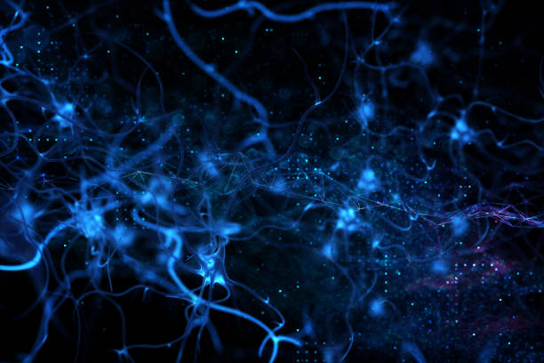 istock Nerve Cell 3D BCI idea Biomedical Illustration 1197470371