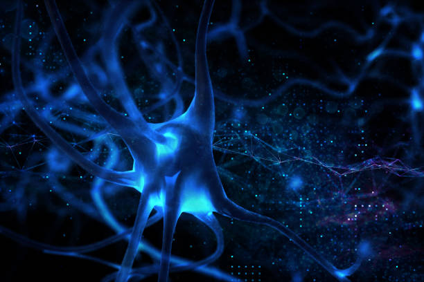 istock Nerve Cell 3D BCI idea Biomedical Illustration 1197470404