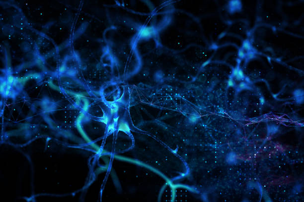 istock Nerve Cell 3D BCI idea Biomedical Illustration 1197470491