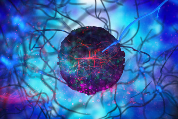 istock Nerve Cell 3D BCI idea Biomedical Illustration 1197471445