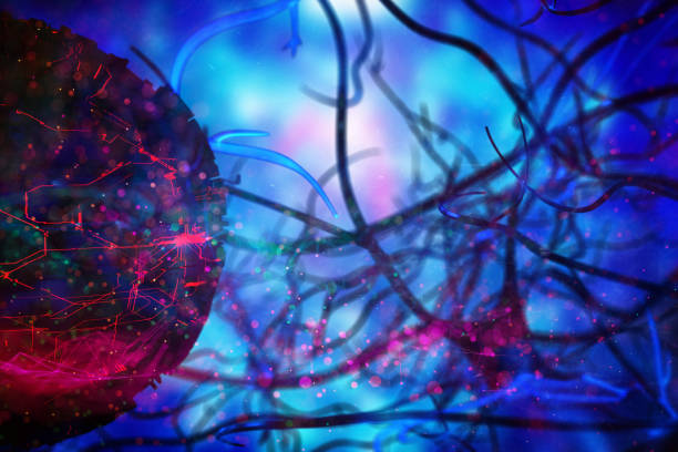 istock Nerve Cell 3D BCI idea Biomedical Illustration 1197471468