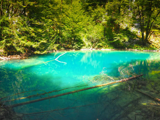 istock The wellspring of Kupa river 1197471514