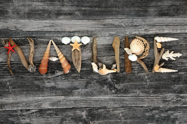 istock Nature Abstract Background on Rustic Wood 1197476727