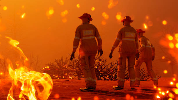istock Fire fighters work together in a forest that is burning 1197479281