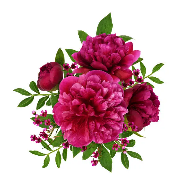 Photo of Bouquet of pink peonie flowers in a floral arrangement