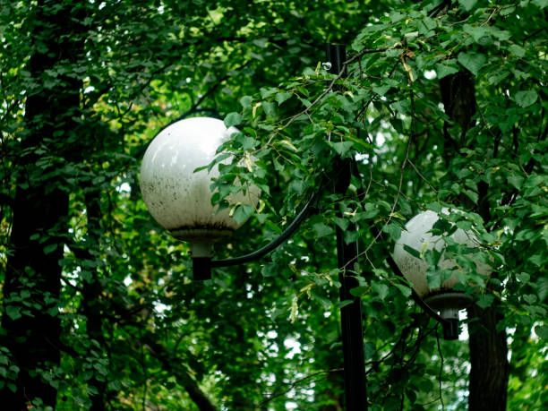istock round lantern in the Park in summer 1197484939