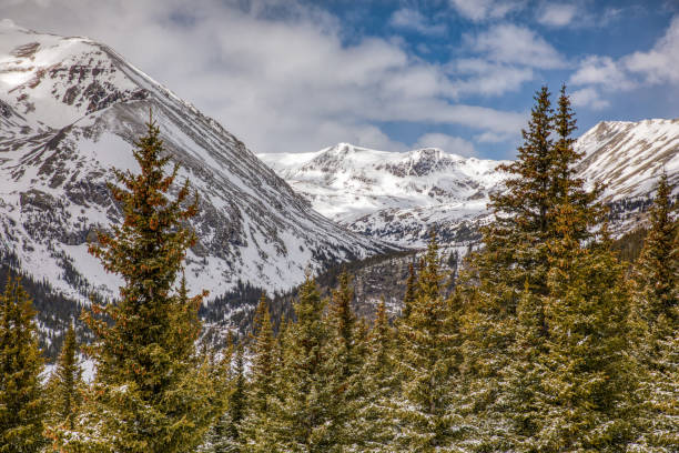 istock Snow covered mountain peaks and green pine trees under partly cloudy skies 1197486348