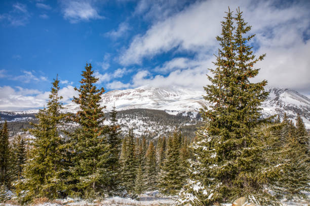 istock Snow covered mountain peaks and green pine trees under partly cloudy skies 1197487255