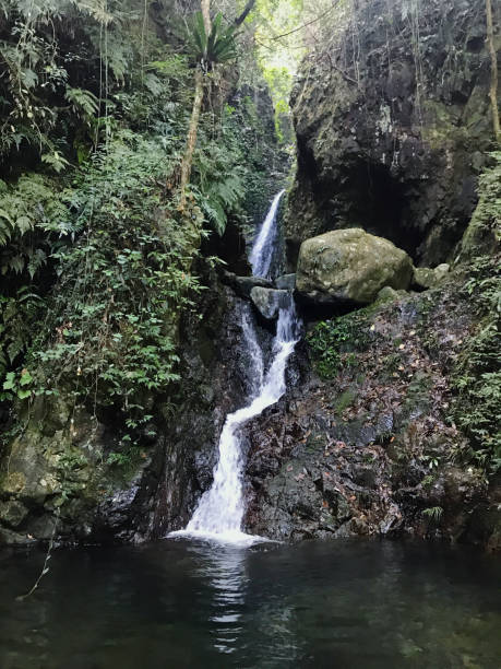 istock Hong Kong Ng Tung Chai Waterfall 1197493768