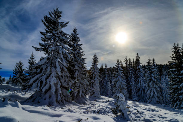 istock Winter landscapes from Vitosha mountain, Bulgaria 1197495778