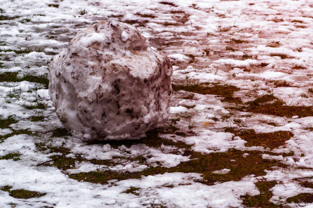 istock A big dirty snow ball that melts in the spring. 1197496360