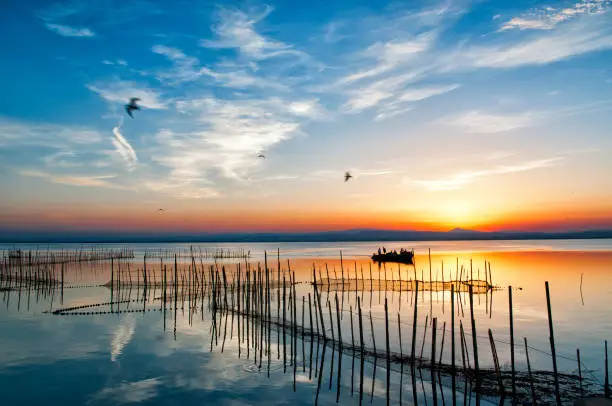 The Albufera de Valencia is a shallow coastal lagoon (average depth of 1 m) located on the Mediterranean coast south of the city of Valencia. It has an area of 23.94 km², and is surrounded by 223 km² of rice paddies.