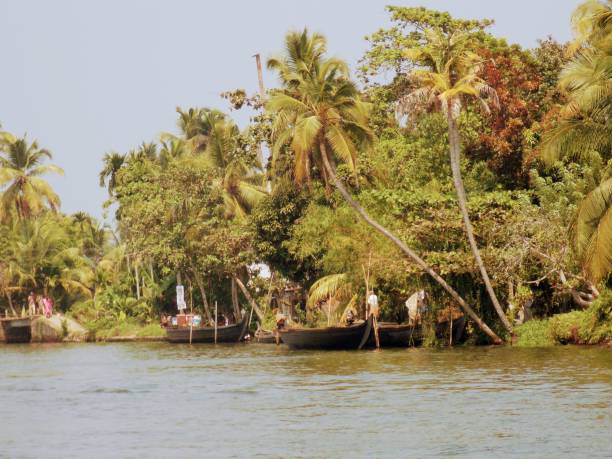 alte holzboote und palmen am flussufer in allepey kerala indien - allepey stock-fotos und bilder