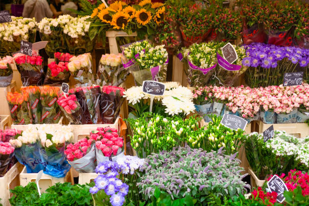 istock flower shop. Different colors 1197501163