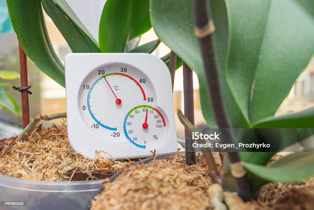Thermometer and hygrometer to monitor optimal conditions for growing houseplants on windowsill in winter time. Selective focus, close-up. Humidity Stock Photo