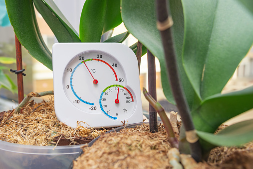 Thermometer And Hygrometer To Monitor Optimal Conditions For