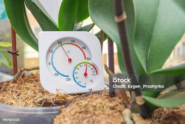 Thermometer And Hygrometer To Monitor Optimal Conditions For Growing Houseplants On Windowsill In Winter Time Selective Focus Closeup Stock Photo - Download Image Now