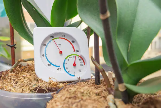 Thermometer and hygrometer to monitor optimal conditions for growing houseplants on windowsill in winter time. Selective focus, close-up.