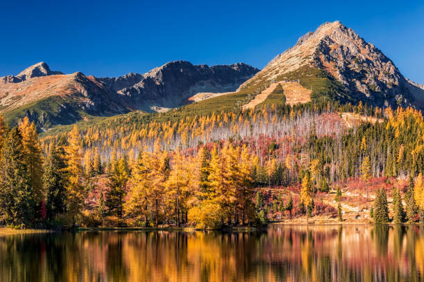 istock Strbske lake Slovakia 1197503360
