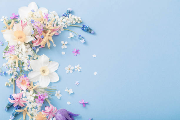 istock spring flowers on paper background 1197505376