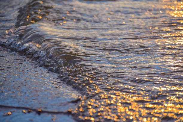 istock Sunset on the lake in winter 1197507643