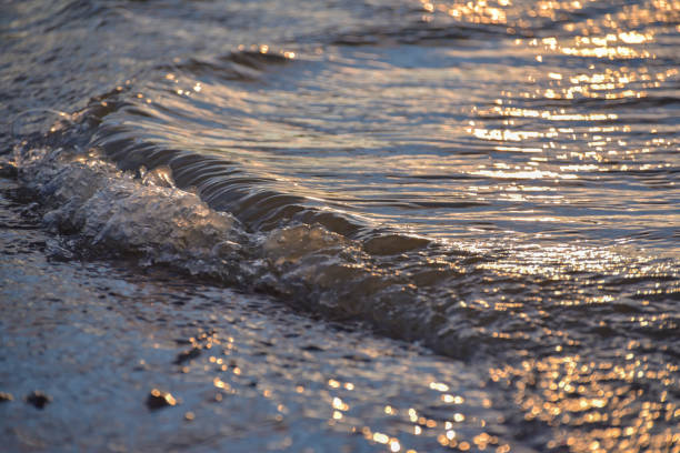 istock Sunset on the lake in winter 1197507653