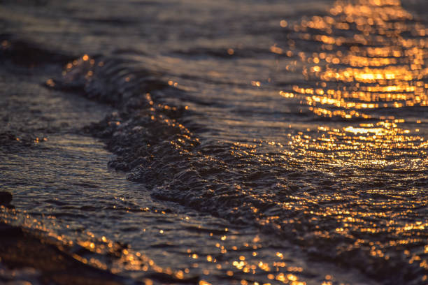 istock Sunset on the lake in winter 1197507661