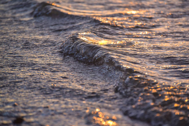 istock Sunset on the lake in winter 1197507696